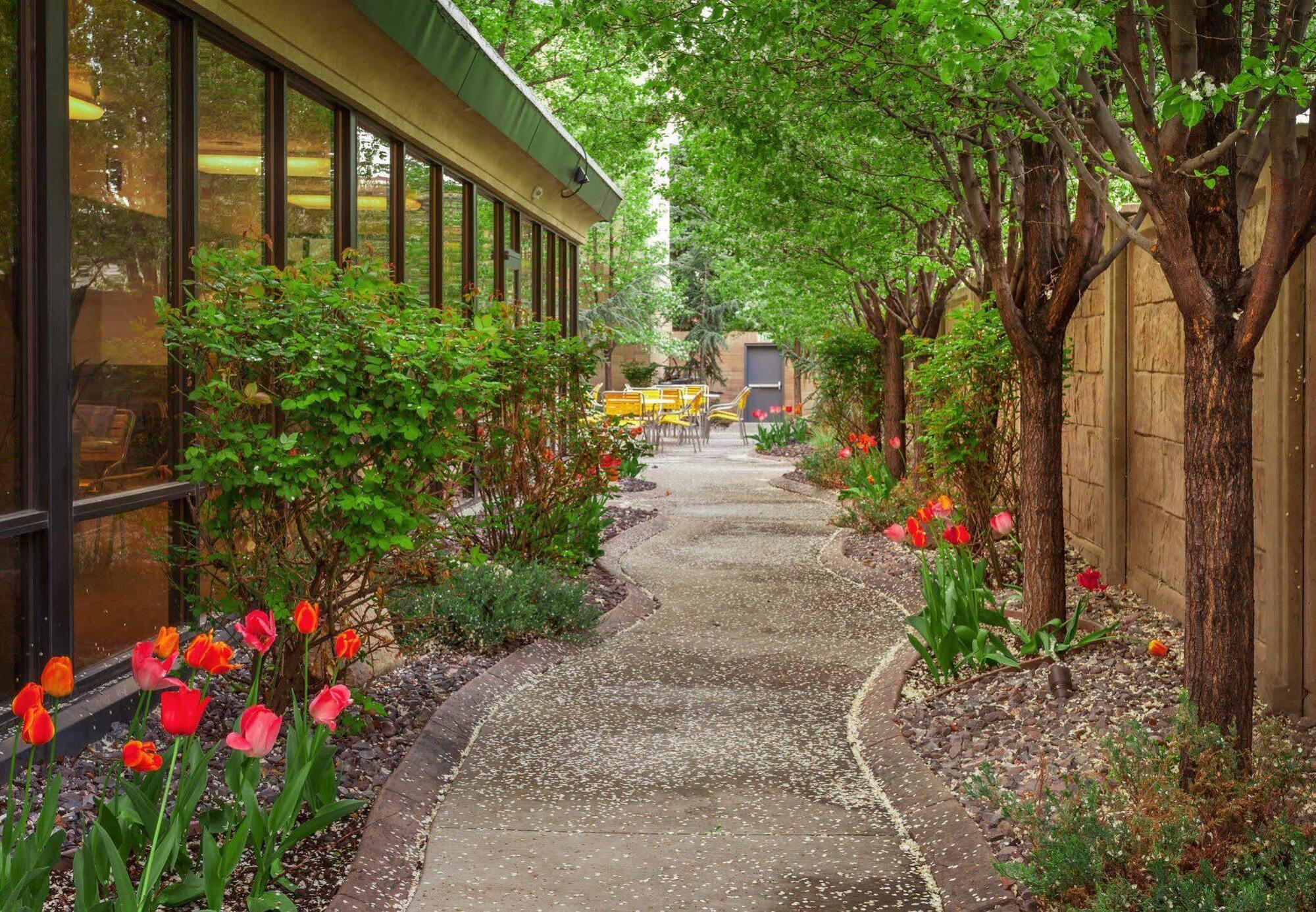 Courtyard By Marriott Salt Lake City Downtown Exterior foto